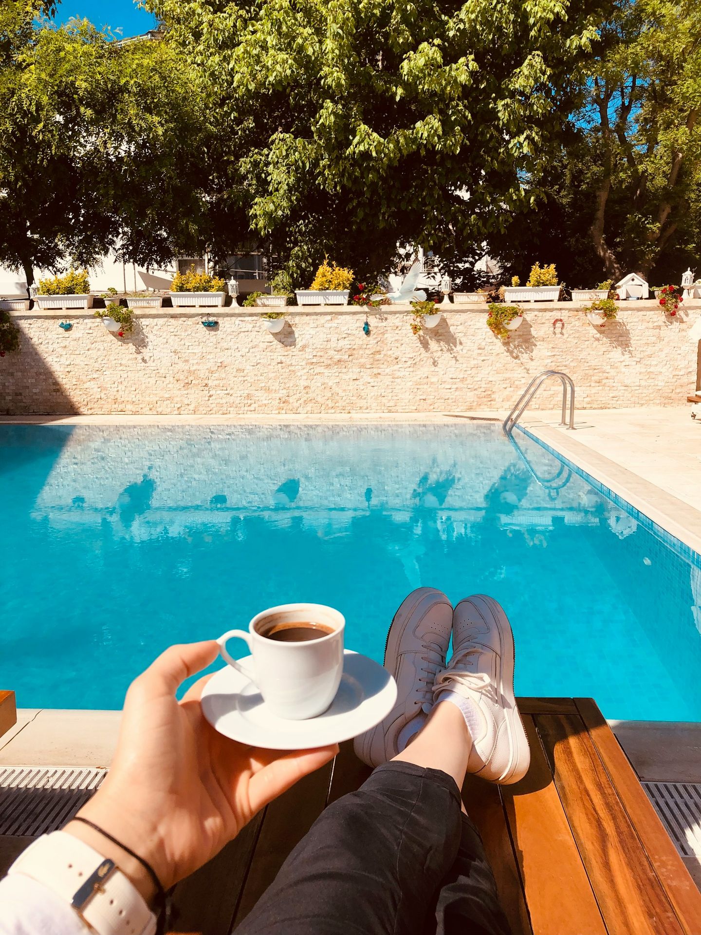 a person holding a cup of coffee next to a swimming pool